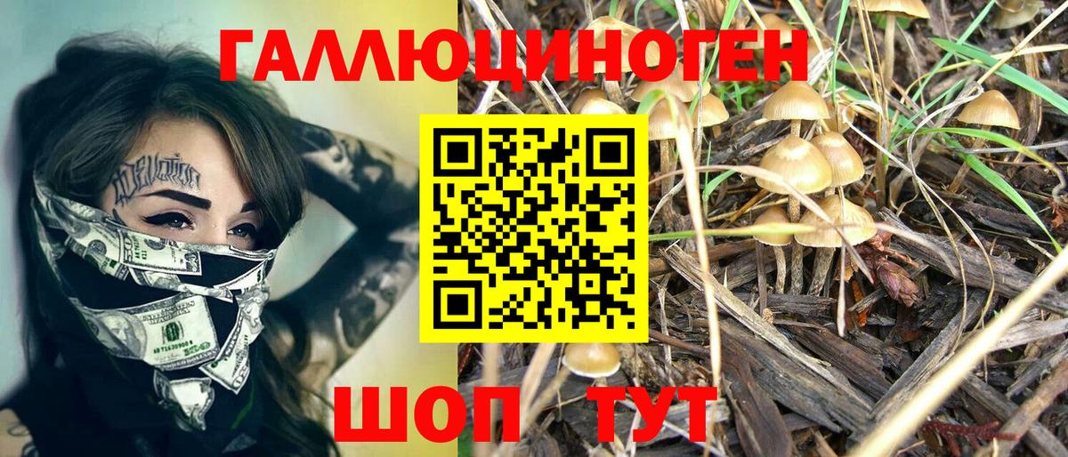 Галлюциногенные грибы MAGIC MUSHROOMS  Вход с VPN  Дагестанские Огни 
